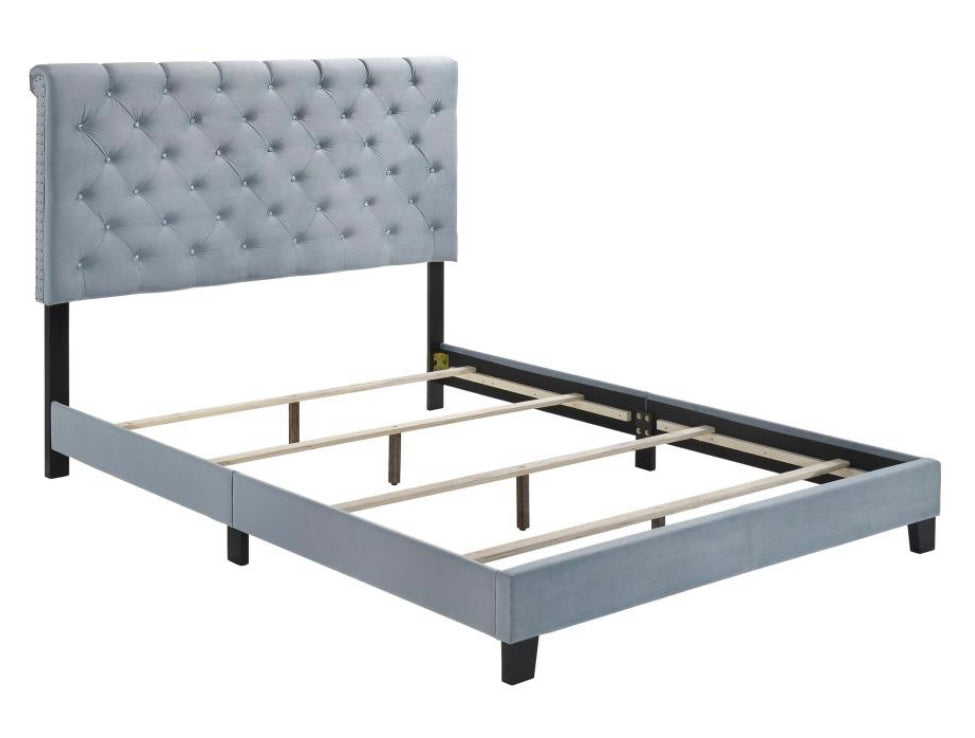 Warner Upholstered King Bed 310041KE