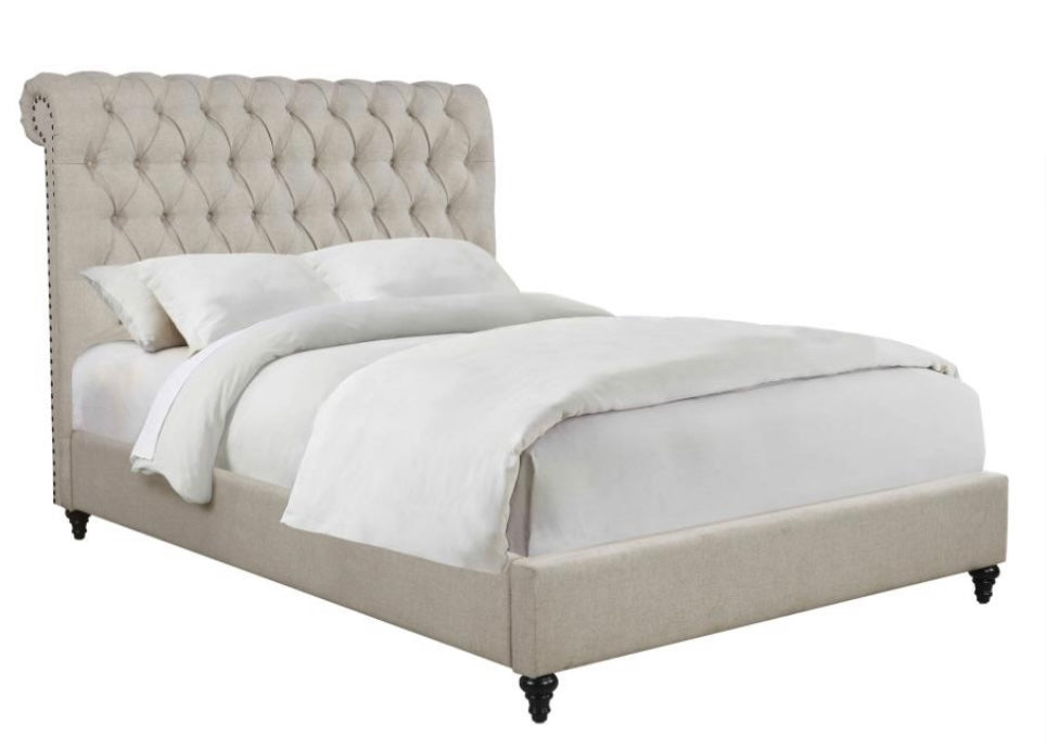 Devon Upholstered Full Bed 300525F